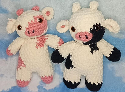 Vaquinhas: R$:55,00